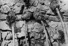 is the Armenian Genocide