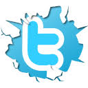 Twitter Button