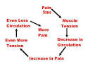 The Pain-<b>Spasm</b>-Pain Cycle