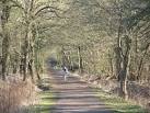 Horse Ride, Wimbledon Common - via Daymix
