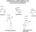 Components of <b>oligosaccharides</b>