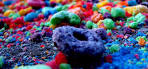Froot Loops | AIPRODUCTION