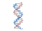 CSUPERB: Introduction to Visualization of Biological Macromolecules