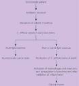 Clostridium difficile-Associated Diarrhea - March 1, 2005 ...