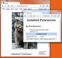 Google Operating System  March 2009