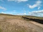 tending towards the vertical. These veins often outcrop at the land - via Daymix