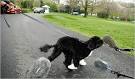 Obama's dog Bo speaking to