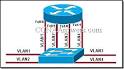 CCNA 3 Chapter 6 V4.0 Answers | CCNA Answers - CCNA Exam - CCNA Exams