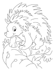 Porcupine coloring page