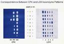 Myocardial Markers