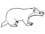 Badger coloring page
