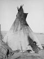 tipis