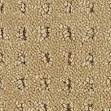 The Pro-Care Carpet Selector Guide