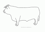 Bull coloring page