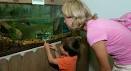 Amoskeag Fishways, Manchester | New Hampshire Audubon | Audubon NH ...