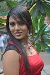Top Darshna P News