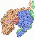 RCSB PDB-