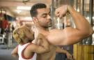 World's Smallest Bodybuilder : Funny, Strange