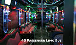 45 Passenger Party Bus Rental - A1 Luxury Limousine Party Bus