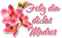 Foro - FELIZ DIA DE LAS MADRES !!!! / Unitedcats