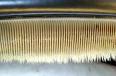 Baleen - Wikipedia, the free encyclopedia