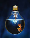 creative expression « bornstoryteller