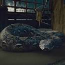 Résultat de recherche d'images pour "nagini hp"