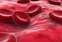 susect's blood or breath.