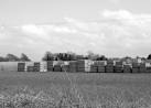 Many carpenters prefer naturally seasoned timber to kiln dried. - via Daymix