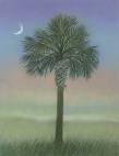 Palmetto Tree