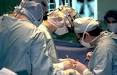 <b>Transplantation</b>