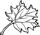 Leaves coloring page