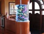 Unique Freshwater Aquarium Ideas: Unique Idea Aquarium, Unique ...