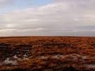 SD8418 : Hail Storm Hill - via Daymix