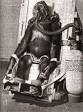 Release &amp; Restitution for Chimpanzees in U.S. Laboratories » Air ...