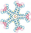 antibody <b>immunoglobulin M IgM</b>
