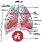 What is COPD? | Breath Matters | Support Group of Virginia