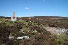 La Gruta's Grave on Hunt Law - via Daymix