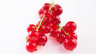 BBC - Food - Redcurrant recipes