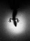 Beautiful Black and White Photography | Smashing Magazine
