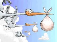 http://t3.gstatic.com/images?q=tbn:ANd9GcS1fE9Y98VdEdDz0A7JDDw2Jqh8rgsZ_q8dfY_p154Hu9two5dE
