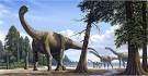 Camarasaurus - Dinopedia