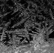 Ice crystals - Wikipedia, the free encyclopedia