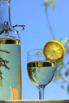 Wine Education | Wine Classes