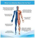 Alkaline Nutrition LLC - Antioxidant Alkaline Ionized Water - FREE ...