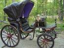http://wirelessdigest.typepad.com/photos/uncategorized/carriage.JPG