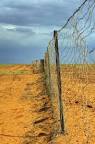 Dingo Fence