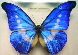 Transforming Power