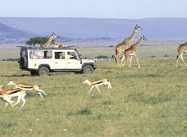 Maasai Mara National Park