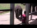 Malee's birthday bash this week-end at zoo - Worldnews.